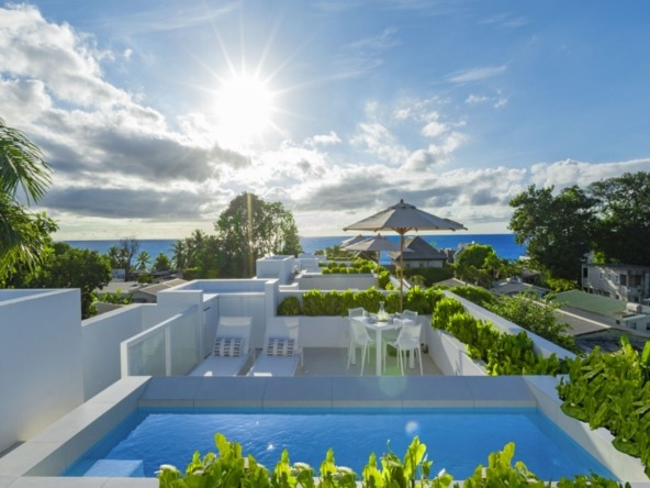 Palm Grove Harding's International Realty