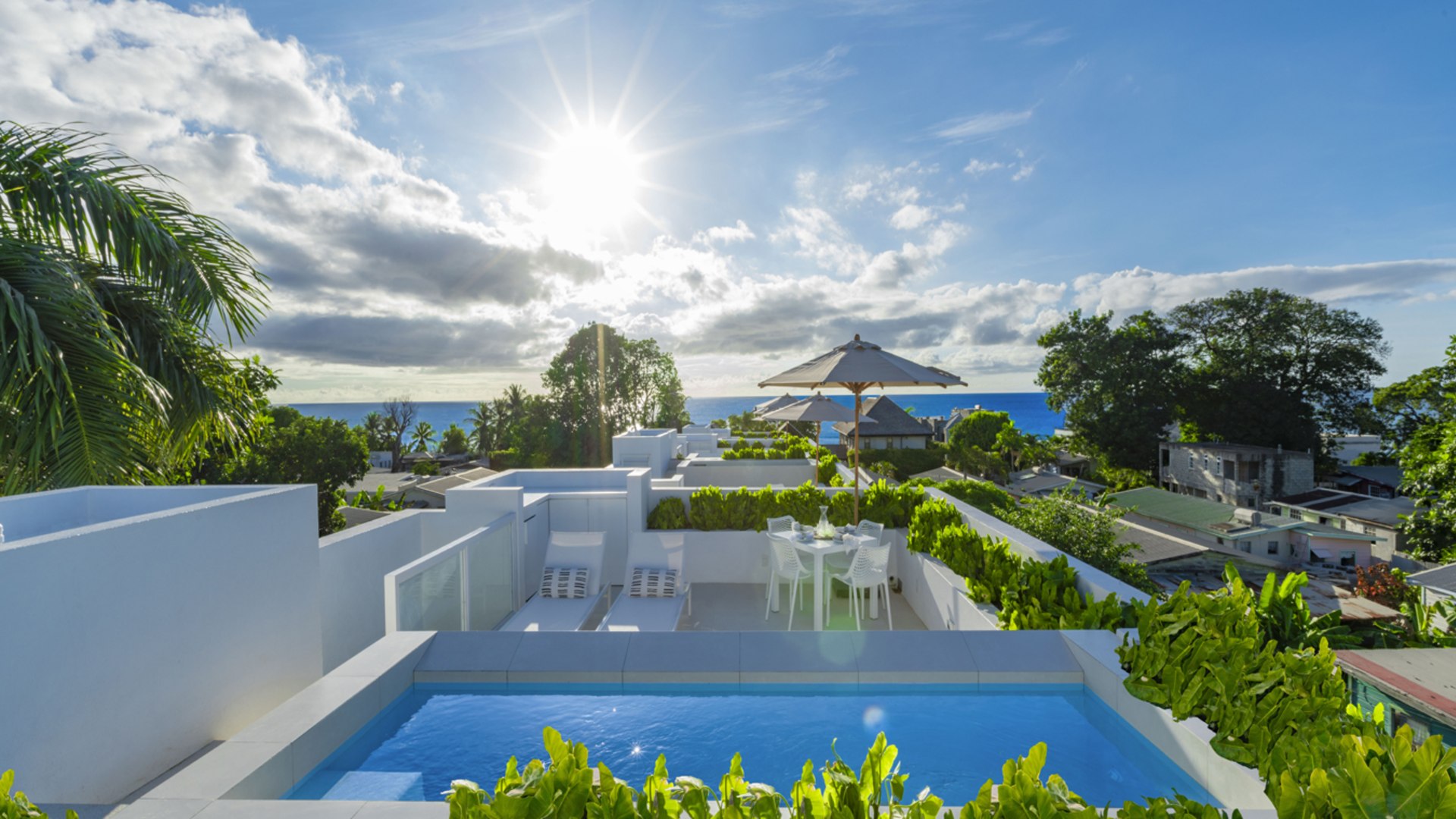 Palm Grove Harding's International Realty
