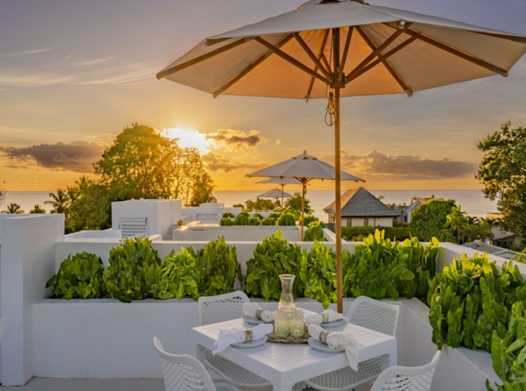 Palm Grove Harding's International Realty