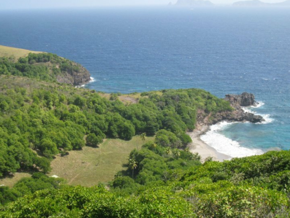 Ravine Beachfront Estate