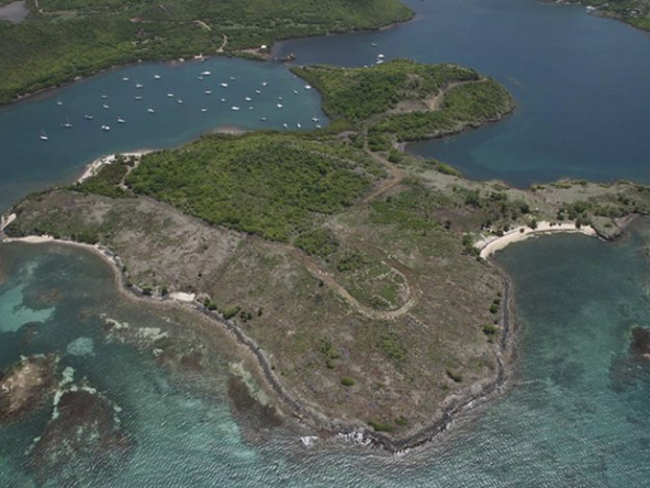 Hog Island & Mt. Hartman Estate