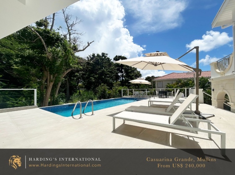 Casuarina Grande