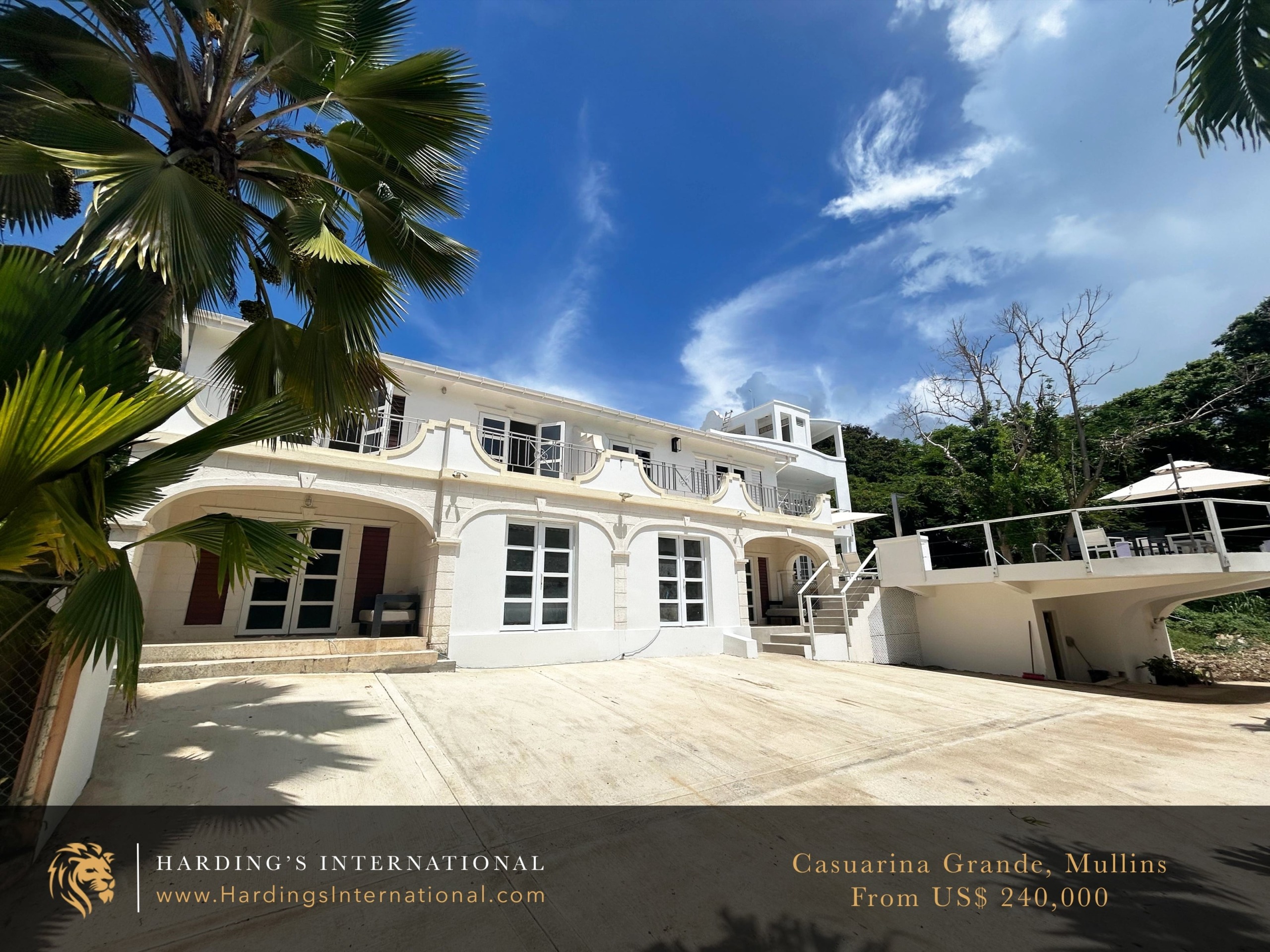 Casuarina Grande