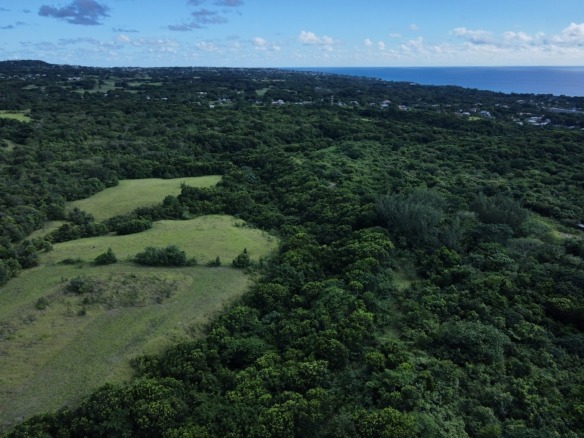 36 Acres