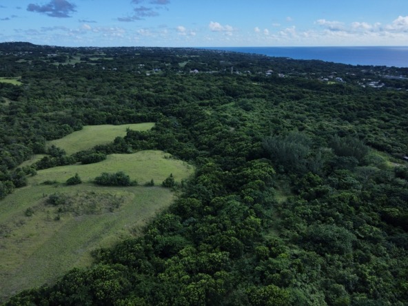 36 Acres