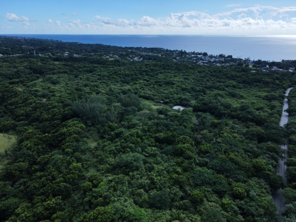 36 Acres
