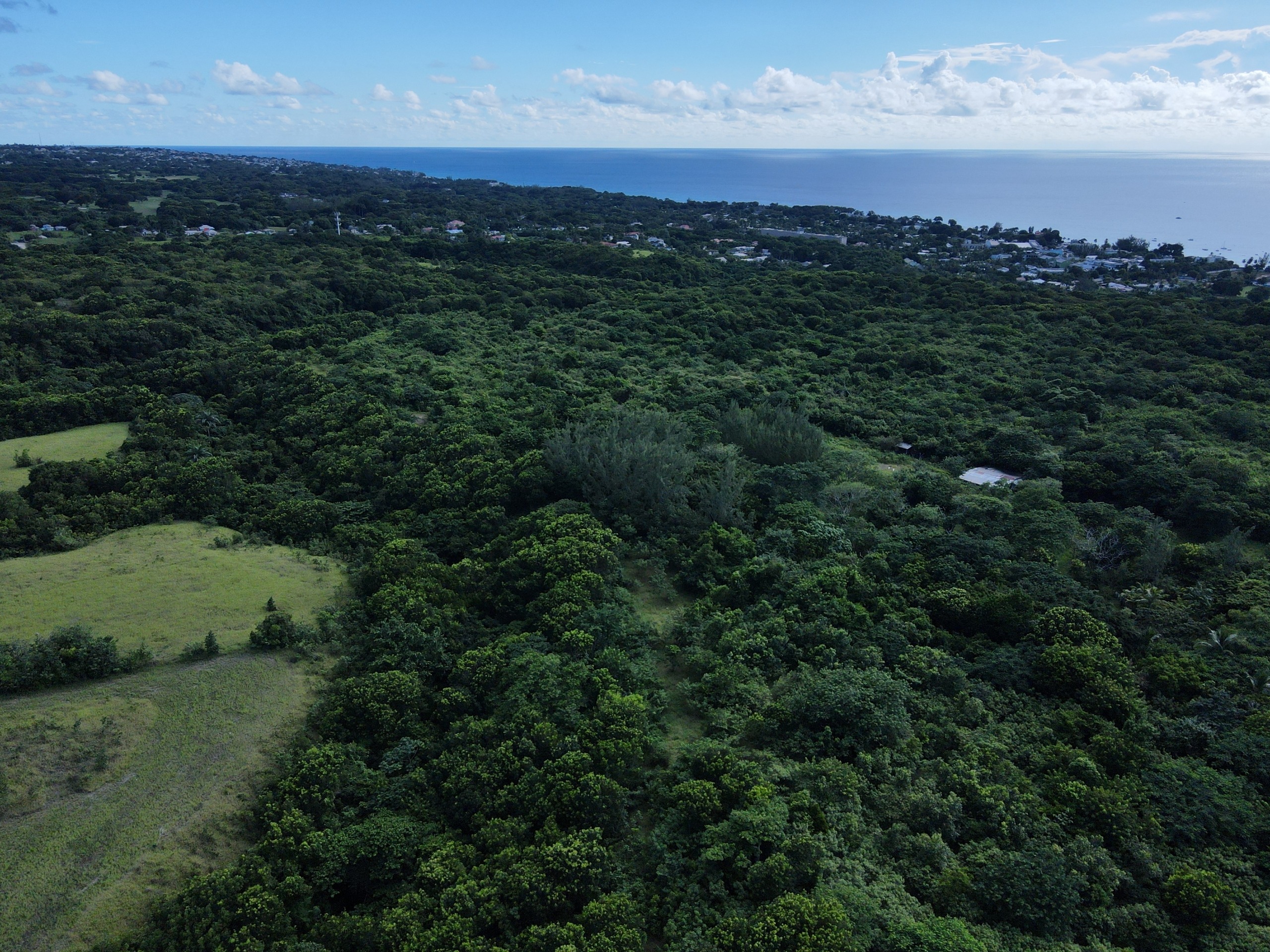 36 Acres
