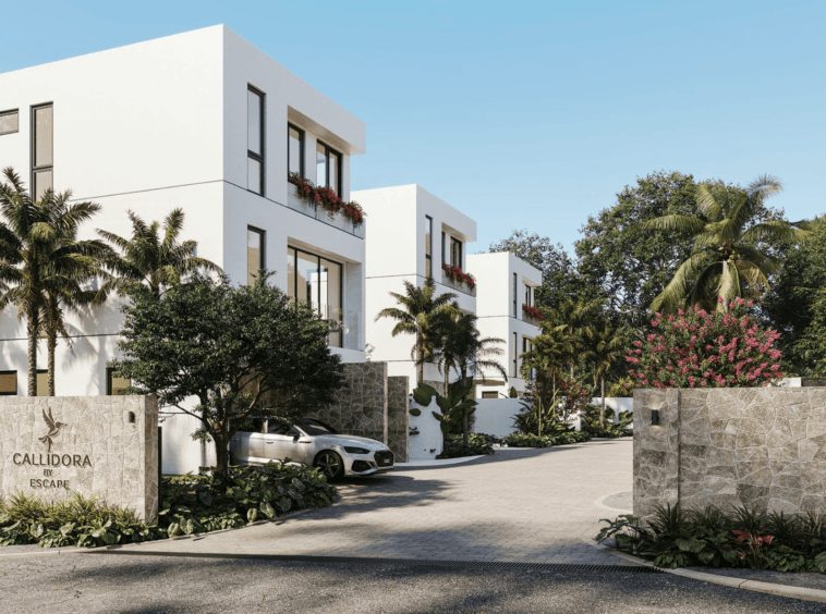 Callidora Barbados