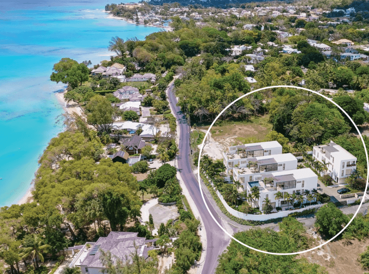 Callidora Barbados