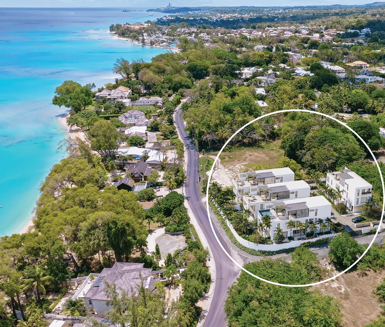 Callidora Barbados