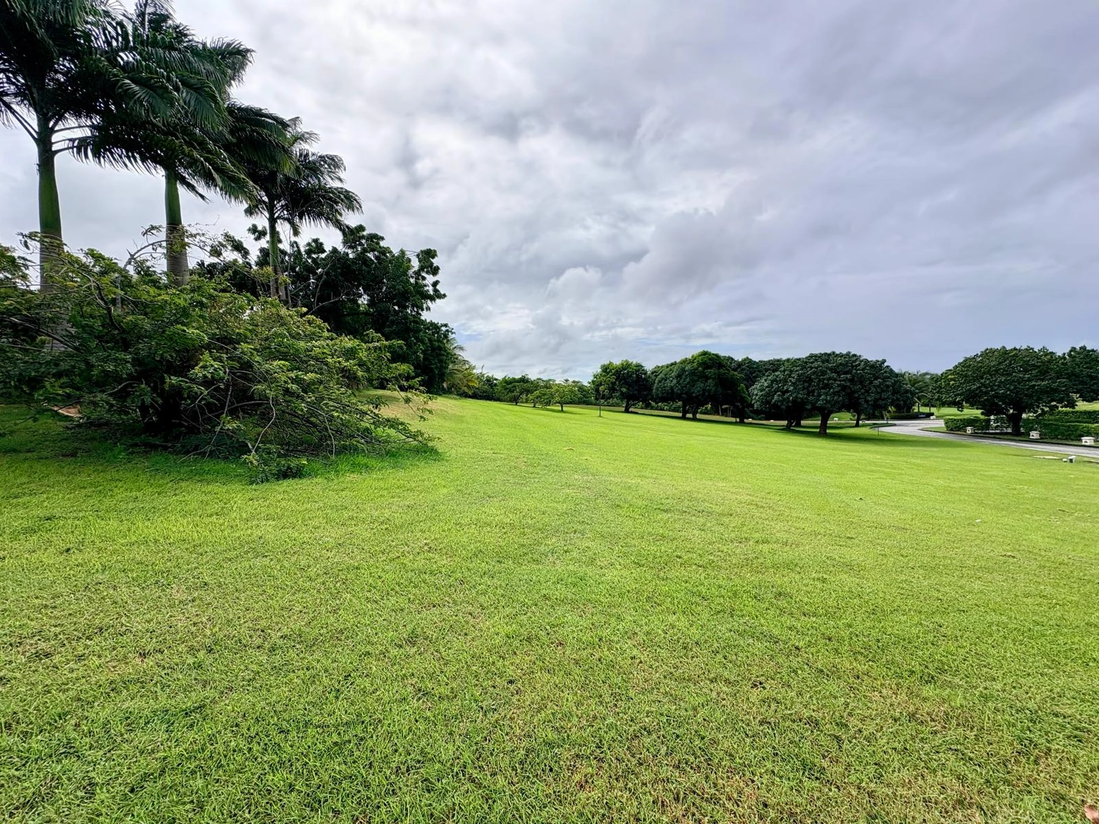 Ocean Drive Royal Westmoreland For Sale Harding's International Realty