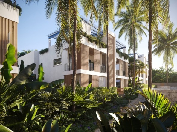Porters Palms Barbados