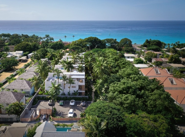 Porters Palms Barbados