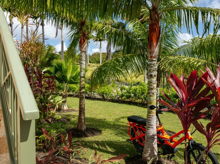 Sugar Cane Ridge 16 Royal Westmoreland Barbados