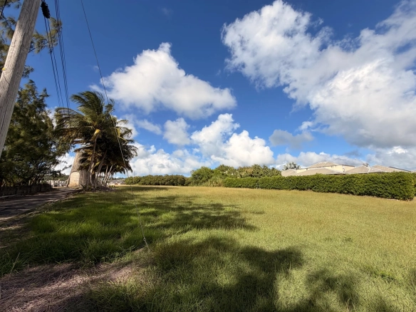 Luxury real estate in Barbados — beachfront villas, homes, and property investments by Harding’s International